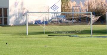 La sede deportiva de San Carlos de Aponquindo está situada al noreste de Santiago de Chile; cuenta con todas las comodidades que necesita una selección de alto nivel como la colombiana. Dentro del complejo también está ubicado el estadio principal de la U. Católica de Chile.