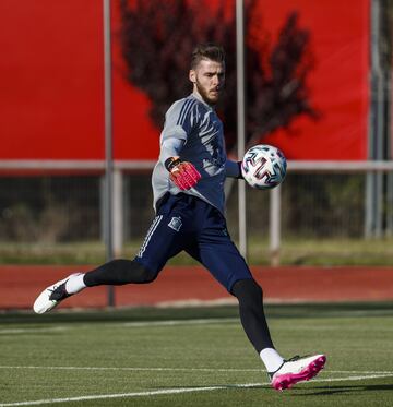 David de Gea.