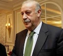 Del Bosque sobre Puyol: "Es un serio contratiempo"