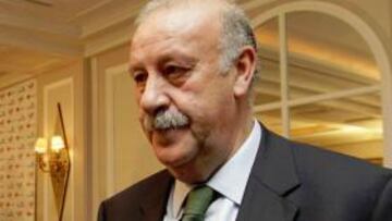 Del Bosque. "La lesión de Puyol es un serio contratiempo"