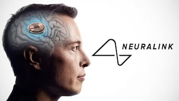 La popularidad de Neuralink explota tras las últimas pruebas documentadas de su funcionamiento.