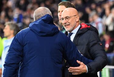Steve Clarke y Luis de la Fuente se saludan  antes del inicio del partido