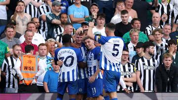 Ferguson baja al Newcastle de la nube