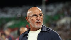 De la Fuente: “Bien, al principio; regular, al final”