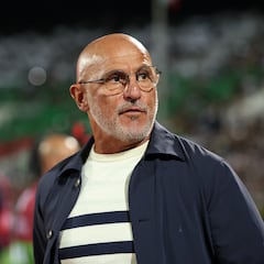 De la Fuente: “Bien, al principio; regular, al final”