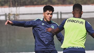 Damián Pizarro celebra en Udinese: esto ocurrió con el chileno en plena pretemporada