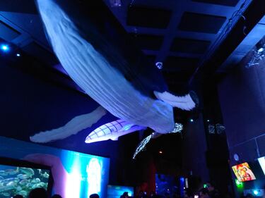 Review: Xiaomi Redmi Note 4