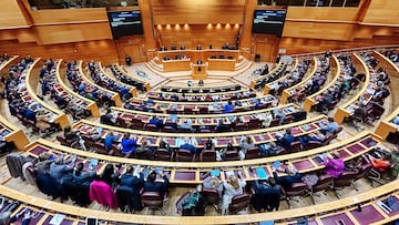 Vista general de una sesión plenaria, en el Senado, a 14 de noviembre de 2023, en Madrid (España). La Comisión de Reglamento del Senado ha avalado la reforma propuesta por el PP para dilatar hasta dos meses la tramitación de la proposición de ley de amnistía, registrada ayer por el PSOE en el Congreso de los Diputados, en la Cámara Alta, que se ha aprobado de manera definitiva en el Pleno de hoy. Además, el PP ha incluido un apartado para obligar a los ministros a comparecer cuando lo soliciten los grupos parlamentarios.
14 NOVIEMBRE 2023;MADRID;SENADO;REFORMA DEL PP;AMINISTÍA
Carlos Luján / Europa Press
14/11/2023