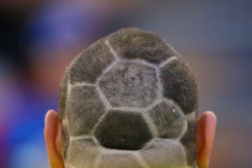 Fans who let their football passion level go to their heads... literally