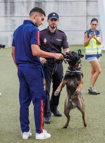 Ferran Torres.