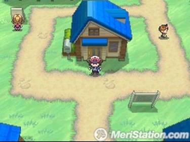 Pokémon Black & White