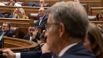 El líder de VOX, Santiago Abascal, habla por teléfono durante un pleno extraordinario en el Congreso de los Diputados, a 11 de julio de 2024, en Madrid (España). El Pleno del Congreso debate hoy las enmiendas de totalidad con texto alternativo registradas respectivamente por Vox y Podemos a la reforma de la Ley del Poder Judicial (LOPJ) y el Estatuto del Ministerio Fiscal pactada por PP y PSOE en el marco de su acuerdo para renovar el Consejo General del Poder Judicial (CGPJ) tras más de cinco años de bloqueo.
11 JULIO 2024;PLENO;CGPJ;JUSTICIA
Eduardo Parra / Europa Press
11/07/2024