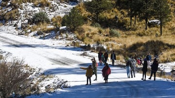 Alerta por Frente Frío 23 | Estados que esperan heladas y caída de nieve hoy 14 de enero 2025