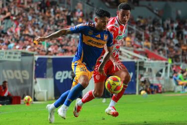 La posible alineación de Tigres ante Toluca en semifinal de Liga MX