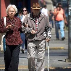 Bono Invierno: ¿cómo consultar con mi RUT si he recibido el pago?