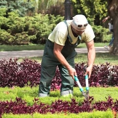 Unos jardineros se ponen a cortar el césped y se topan con un minitesoro dorado de miles de euros: “Todavía no se ha decidido”
