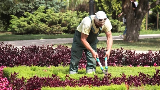 An employee of a city hall requested to work remotely two days a week, but HR rejected his request saying that it was incompatible with his position.