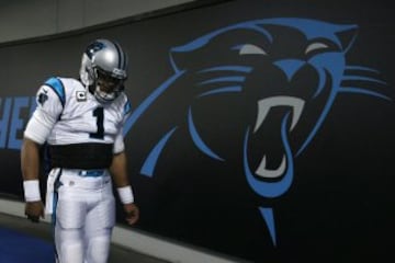 Una pantera. Y al lado, el logo de los Carolina Panthers.