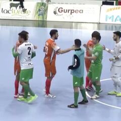 Resumen del Magna Gurpea - P. Romero Cartagena