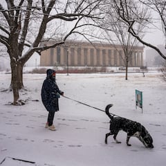¿Habrá una Navidad blanca en Estados Unidos este 2025? Lugares donde habrá nieve el 25 de diciembre