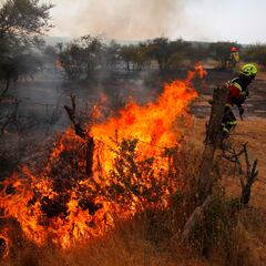 Bono de 1.500.000 pesos: quién recibe el segundo pago del bono Recuperación y montos confirmados