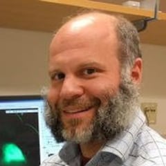 Nicholas Bentley, neurocientífico: “El ejercicio reconfigura el cerebro y suceden cosas maravillosas”