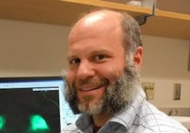 Nicholas Bentley, neurocientífico: “El ejercicio reconfigura el cerebro y suceden cosas maravillosas”