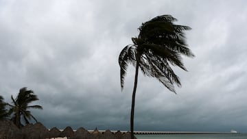 Este 2024 se han registrado nueve huracanes en el Atlántico. Te explicamos cuándo termina la temporada de huracanes este año.