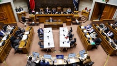 Diputados UDI piden eliminar feriado irrenunciable: solicitan que sea tramitado con urgencia