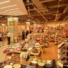 Casaideas abre ofertas laborales en cinco regiones de Chile: estos son los puestos, sueldos y cómo postular