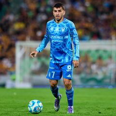 Santos 0-1 Tigres : Goles, resumen y resultado