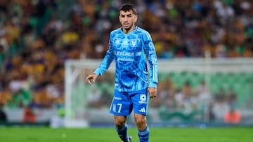 Santos 0-1 Tigres : Goles, resumen y resultado