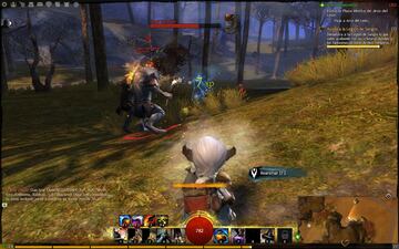 Captura de pantalla - Guild Wars 2 (PC)