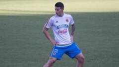 Fe, corazón e ilusión: Colombia solo piensa en Rusia