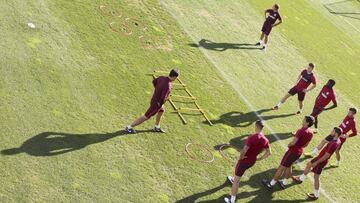 Habrá césped nuevo en los dos campos donde entrena el Atleti