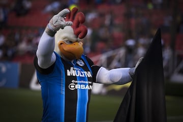 Las 18 mascotas de los equipos de la Liga MX