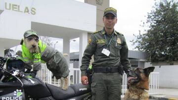 De ser abandonado en un contenedor a formar parte de la patrulla canina