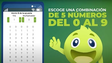 Consulta la lista completa de los resultados del Sorteo Tris que se reveló hoy lunes 22 de junio del 2025.