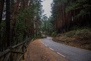 Los 6 bosques m¨¢s impresionantes de Espa?a para visitar en los meses de oto?o