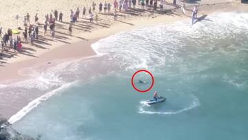 Un delf&iacute;n (con c&iacute;rculo rojo) a punto de morir en la orilla de Shelly Beach, en Manly, Australia, con un jet ski y varios espectadores y surfistas mirando, el s&aacute;bado 21 de enero del 2023. 