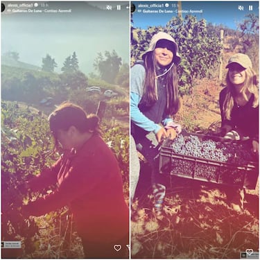 Alexis Sánchez exhibe su máximo orgullo: así es su exitosa viña AlmaSoul ubicada en la región del Maule