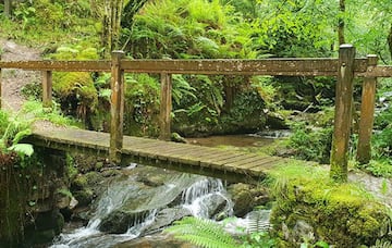 Historia, geología, bosques y paisajes se unen en esta ruta para hacernos disfrutar con los cinco sentidos. Una ruta para ver el paisaje de la llanura, hacia Nava, Siero y Sariego; escuchar el rumor continuo del río cuando nos acercamos a él; sentir el olor del suelo mojado, acariciar los troncos de los árboles y el musgo que los cubre, y sentarnos a degustar un buen bocadillo en el interior del bosque. La historia la ponen el palacio y torre medieval que fuera de los Álvarez de las Asturias (donde cuenta la tradición que nació doña Jimena, esposa del Cid Campeador), y la geología nos regala, excavada por el río, la garganta del Pendón, como un Cares en pequeño. Diez kilómetros de una ruta circular en la que podremos ver ciervos en las laderas más escarpadas. Al discurrir al lado de un fuerte barranco, no es una ruta recomendada para ir con niños muy pequeños, y mucho menos con carritos.