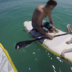 Del jabalí al calamar gigante: surfistas vs animales