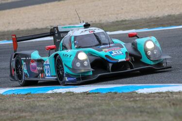 El exportero francés defendió la portería de equipos como el Olympique de Marsella, Mónaco o Manchester United F. C. El de Lavelanet ha competido en varias ocasiones en las 24 Horas de Le Mans.