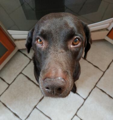 Reseña: Xiaomi Redmi Note 5