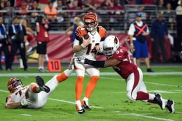 Dwight Freeney, LB de Arizona, realizando un sacks a Andy Dalton. Que gran defensa realizó Cardinals. 