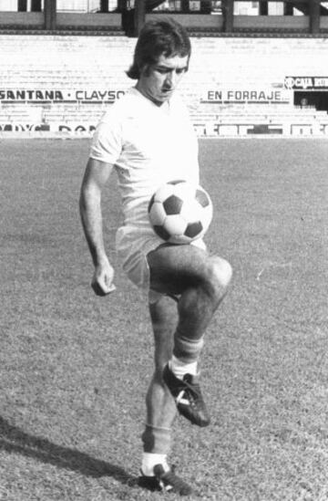 Fichó por el Sevilla en 1972 y jugó allí hasta 1979. Ese mismo año se fue al Barcelona, donde militó hasta 1981.