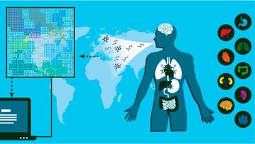 Este dispositivo permite detectar Cáncer y el Parkinson mediante la respiración