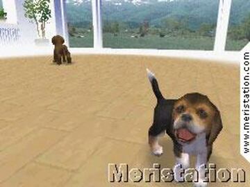 Captura de pantalla - nintendogs_07.jpg