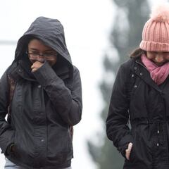 Frente Frío 19: cuándo llega a México, trayectoria y en qué estados caerá nieve